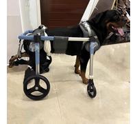 Véhicule de Chien Support Complet Handicap Roue de Chien pour Petit/Grand/Moyen, Dogie Assisté Mobility Walker pour Les Pattes postérieures, 2/4 Roues Dispositif de récupération arrière