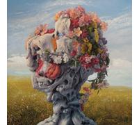 Veil Of Imagination by Wilderun [CD] NEUF