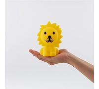 Veilleuse Bundle Of Light Lion 16,5 Cm - Mr Maria
