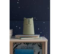 Veilleuse Dinosaure vert sauge TU