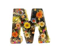 Veilleuse florale en résine à 26 lettres pressées avec lumière LED, décoration de lettres initiales pour fête d'anniversaire, lettres de fleurs séchées pour anniversaire (style 13)