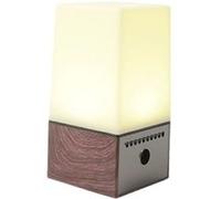 Veilleuse Lampe haut-parleur caméra espion wifi HD 1080P microphone multi G