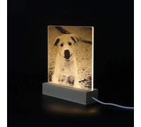 Veilleuse personnalisée 7 couleurs avec stylo effaçable, décoration de chambre/maison/bureau, meilleur cadeau pour la fête des mères, la fête des pères, un anniversaire, un mariage, un anniversaire de