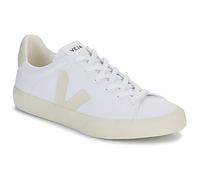 Veja Baskets basses CAMPO CANVAS in Blanc 42