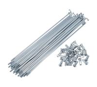 VekAuto 1 Ensemble De Rayons De Vélo 12G Rayons De Roue De Vélo en Acier Au Carbone Galvanisé Universel Ton Argent Téton 175mm