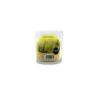 Vela Citronnelle Stop Mosquitos Vaso de Cristal 75 x 70 mm 30H Roura AF