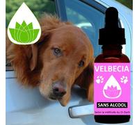 Velbecia® - Fleurs De Bach Peur Des Transports Sans Alcool (30 Ml)