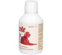 Velcote Solution(S) 250 ml