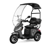 Veleco Draco - Véhicule électrique 3 roues avec toit et pare-brise - puissant moteur électrique 800W - livré entièrement assemblé et prêt à rouler - frein électromagnétique (Gris)