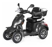 VELECO FASTER - Véhicule de mobilité à 4 roues - Entièrement assemblé et prêt à l'emploi - Sûr et stable - Alarme - Rangement spacieux et porte-gobelet (GRIS)