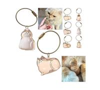Vellarix Cat Hair Memorial Keychain - Transparent Pet Fur Keepsake Pendant - Cute Cat-Shaped Keyring for Cat Lovers - Mini Hair Storage Bottle Charm(2Pcs-A)