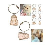 Vellarix Cat Hair Memorial Keychain - Transparent Pet Fur Keepsake Pendant - Cute Cat-Shaped Keyring for Cat Lovers - Mini Hair Storage Bottle Charm(2Pcs-B)