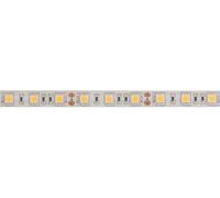 Velleman Bande LED LS12M230WW1 flexible autoadhésive 5 m 300 LED 12 V 3500K blanc chaud IP61