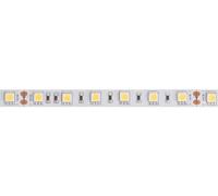 Lampe de lecture VELLEMAN Flexible led - blanc - 300 leds - 5 m - 24 v ls24n230nw1