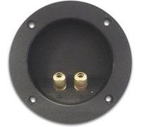 Bornier Pour Enceintes Rond Dore