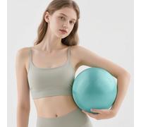 VELLUSTRA 2PCS Ballon Grossesse, 25CM Balles d'exercices Fitness, Gymnastique Gym avec Pompe Rapide, Anti-éclatement et Anti-Dérapant Yoga Ball, Swiss Ball de Gym Yoga Grossesse Siege Bureau