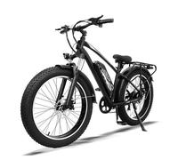 Vélo à assistance électrique - AVDLEU - A35 - Moteur 250W - Batterie 48V15.6Ah - Pneus 26""
