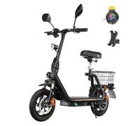 Vélo à assistance électrique TWOFISH-M5 Pro-E, 48 V, 13 Ah, autonomie maximale de 30 km, charge maximale de 116 kg