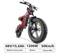 Vélo assistance électrique - HIDOES - HD-B6 - 20'' - Batterie 48V 18,2Ah amovible - Autonomie 70 km