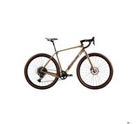 Vélo Bianchi Arcadex Comp Apex/SX 12S - Doré - L