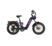 Vélo cargo électrique CYRUSHER Kommoda 3.0 20 - Moteur 250 W - Batterie 48 V 20 Ah
