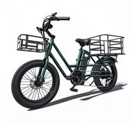 Vélo cargo électrique K750 20'', moteur 750 W, batterie 20,8 Ah, autonomie 75-85 km, vitesse maximale 45 km/h, 7 vitesses, vert