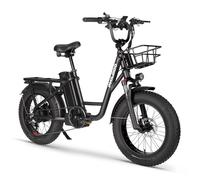 Vélo cargo électrique PHILODO T1, batterie 48 V 20 Ah, panier avant et porte-bagages arrière avec clignotants - noir