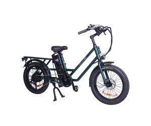Vélo cargo électrique urbain GOGOBEST GF200 20 - Moteur 500 W - Batterie 48 V 15,6 Ah - Vert