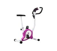 vidaXL Vélo d'Appartement avec Résistance à Courroie Vélo d'Exercices Vélo de Fitness Vélo d'Entraînement Maison Salle de 92011