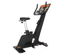 Vélo d'appartement DKN Technology Upright Pro Noir 120x56x150 cm