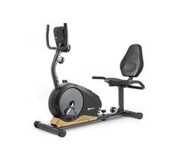 Hop-Sport Vélo d'appartement Magnétique Semi-Allongé HS-040L ROOT - Vélo d'Exercice Couché, Roue d'inertie 9,5kg; Ordi, Siège réglable, Captures de pouls (Noir/Doré) Doré