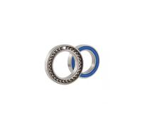 Vélo de roulement Marque BEARING SGM SPORT pour Unisexe Adulte