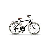 Vélo de ville Airbici ELEGANCE Man- 6 vitesses, roues 700x38C Vert oasis 54