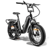 Vélo électrique 20“*4 Gros Pneus FAFREES F20 Master Moteur 690W 48V/22.5Ah Samsung Batterie,Autonomie 160km,Shimano 7 vitesses,Gris