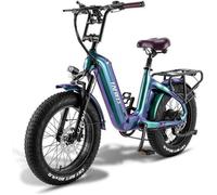 Vélo électrique 20“*4 Gros Pneus - FAFREES F20 Master Moteur 690W 48V/22.5Ah Samsung Batterie,Autonomie 160km,Shimano 7 vitesses