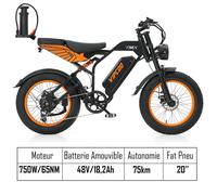 Vélo Electrique Autonomie de 75km 3 Vitesses 48V 18,2Ah 750W Terrain et Urbain