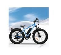 Vélo électrique - BAOLUJIE DP2619 - Moteur 1000W - Batterie 48V 13Ah - Autonomie 35-45 km