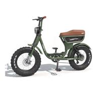 Garrett Miller Vélo Electrique Biplace Cargo Garrett Miller City - Vert