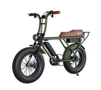 Garrett Miller Vélo Electrique Biplace Cargo Garrett Miller X - Vert