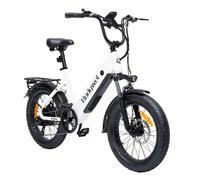 Vélo électrique Bodywel F20, moteur 20 pouces 250 W et batterie 48 V 13,5 Ah