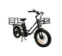 Vélo électrique Cargo ADN ,750W 48V 20.8AH,Avec étagères avant et arrière, 25KM/H, PAS Autonomie 90 KM, 200KG portant le poids,