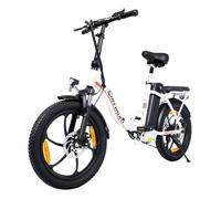 Vélo électrique CHEEVALRY C16 250W Moteur 48V16AH Batterie Autonomie 40KM Cadre en Acier au Carbone 25KM/H 20*3.0 Gros Pneus Blanc