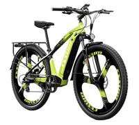 Vélo Électrique CYSUM CM520 29 Pouces - Moteur Sans Balais 48 V 500 W - Batterie Amovible 14 Ah - Autonomie de 50 à 70 km - Vert