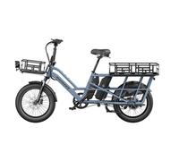Vélo électrique de Cargo Fafrees FF20 CUV, double batterie, bleu