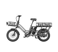 Vélo électrique de Cargo Fafrees FF20 CUV, double batterie, gris