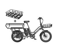Vélo électrique de Cargo Fafrees FF20 CUV, double batterie, gris