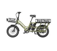 Vélo électrique de Cargo Fafrees FF20 CUV, double batterie, vert