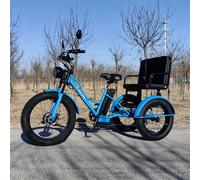 Vélo électrique de montagne à 3 roues 750w, avec deux sièges, pour personnes âgées, batterie amovible 48V, Tricycle électrique pour adultes hors route pour hommes green with seat