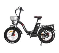Vélo Électrique DrveTion CT20 - Moteur 750W Batterie 48V20AH Roues de 20 Pouces Freins à Huile - Noir