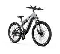 Vélo Electrique DUOTTS E29, Moteur Bafang 250W, Batterie 13,5 Ah, Shimano 14 , Capteur de Couple, Autonomie 90 km,Blanc Argenté